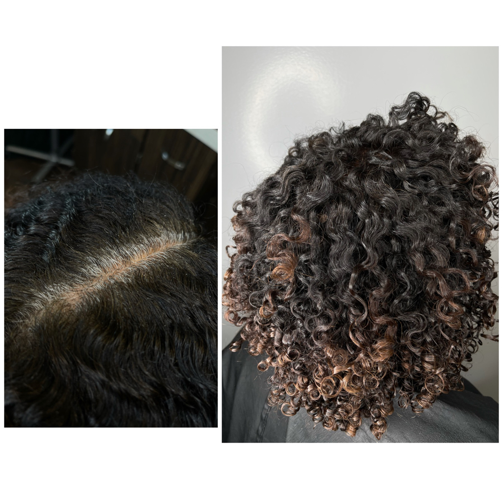 Root Touchup & Style