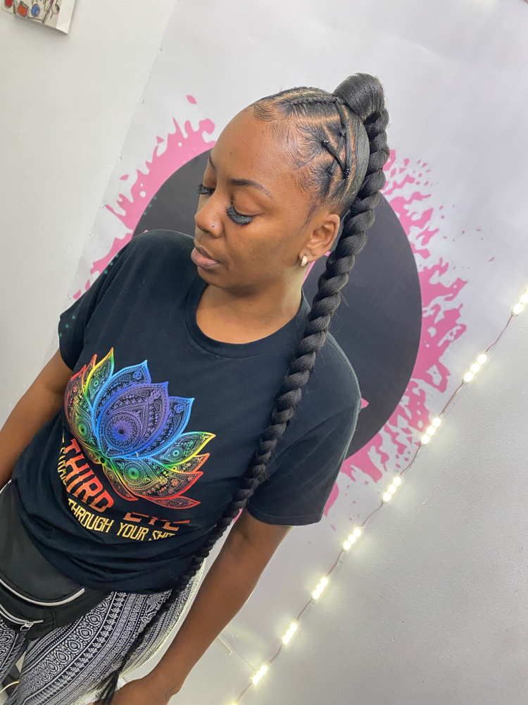 Braided Ponytail Hair Included