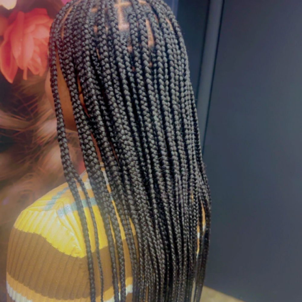 Medium Knotless Braids at Crowned By Braids in Tonawanda, NY