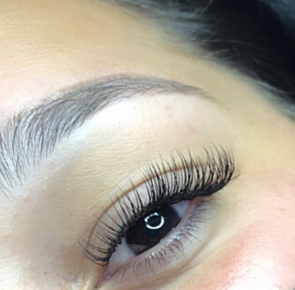 Classic Lashes (Paradise)