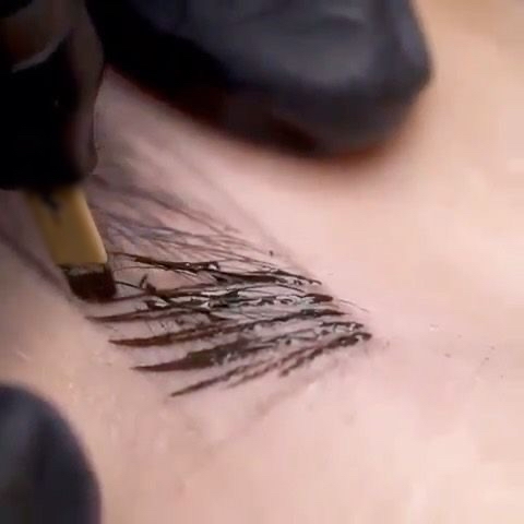 Touch Up (8-12 Weeks)