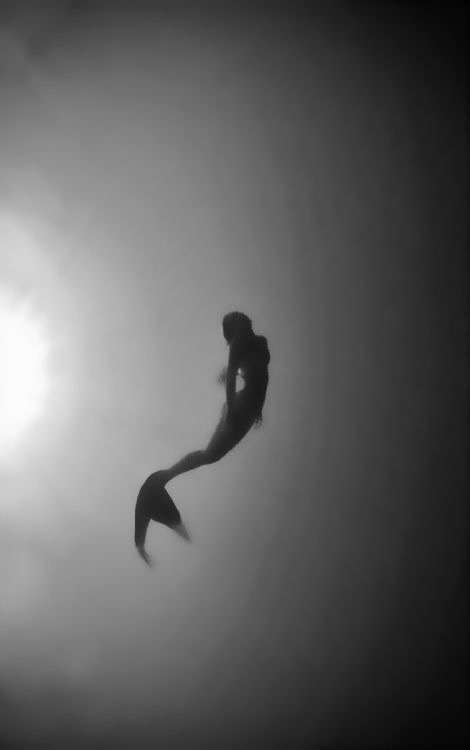 Mermaid Dreams