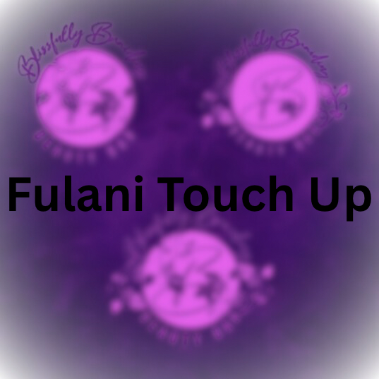 Fulani Touch Up at Blissfully Braiding Beauty Bar in Overland Park, KS