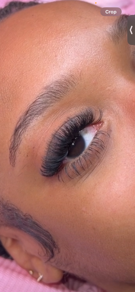 Bottom Lashes