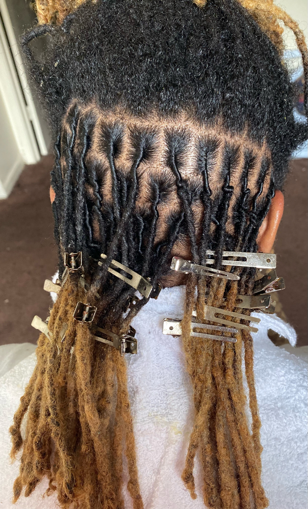 Adult Shampoo/Retwist ONLY