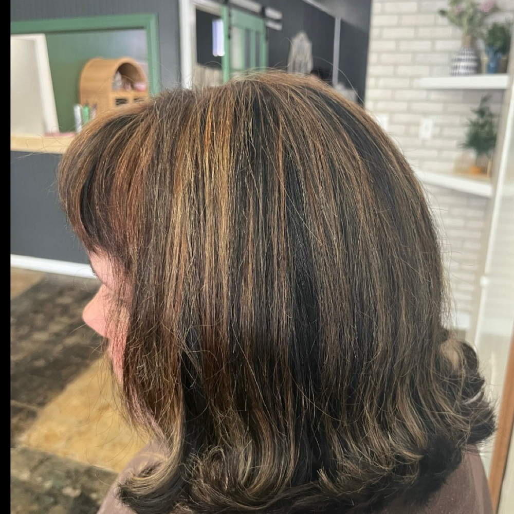 Partial Highlight at Exquisite Salon in harrison, AR