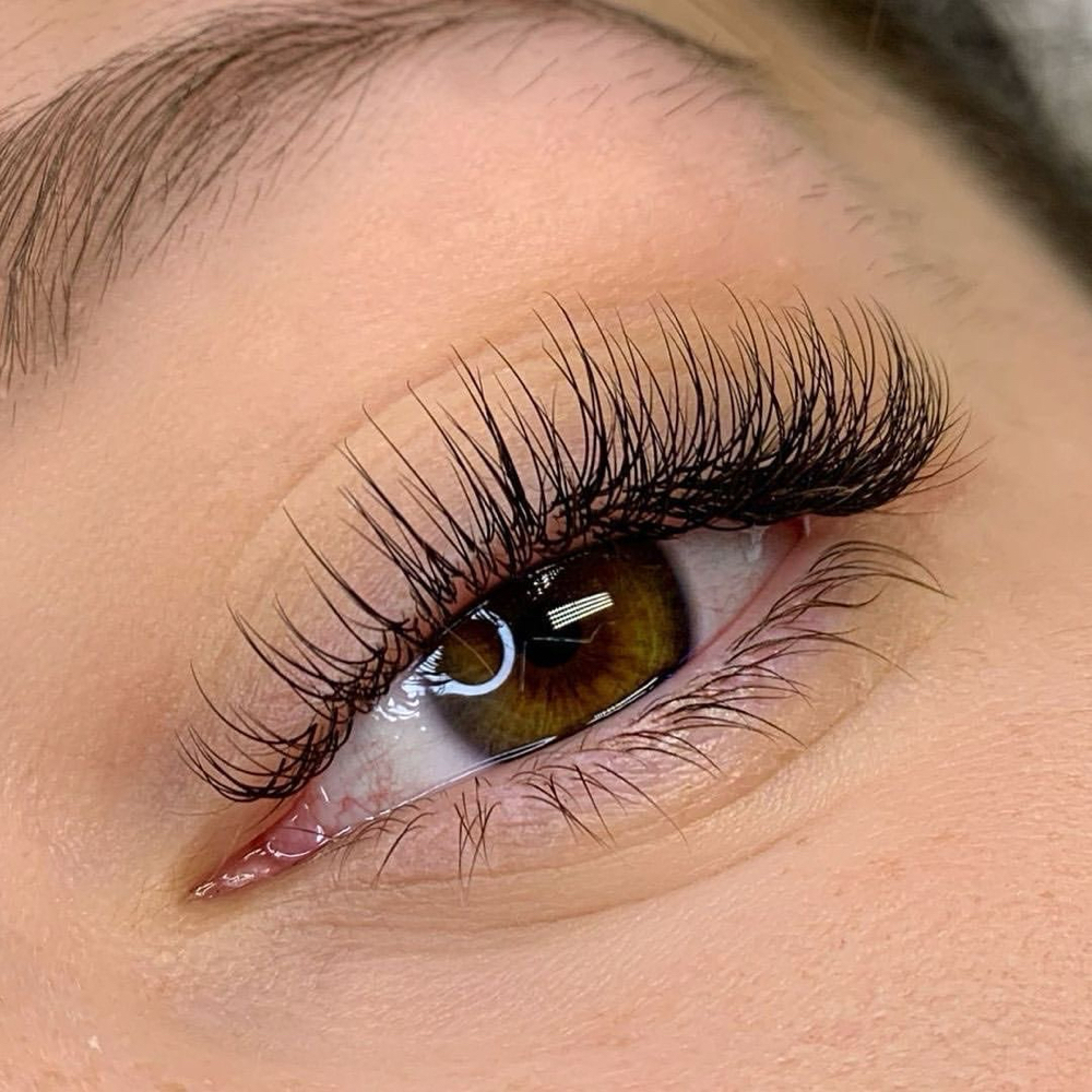 Classic Lashes at Wisteria Beauty in san juan, PR