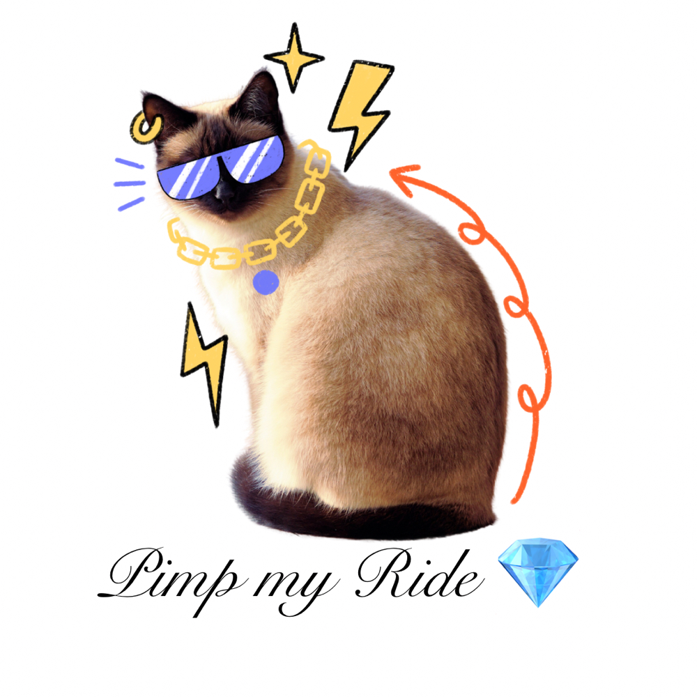 Pimp My Ride (Vajazzle) 😻✨ at Wax Baby in Williamsburg, VA