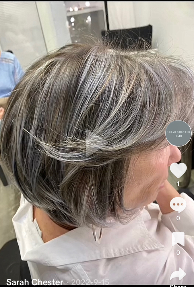 Grey Blending/Haircut/Blowout