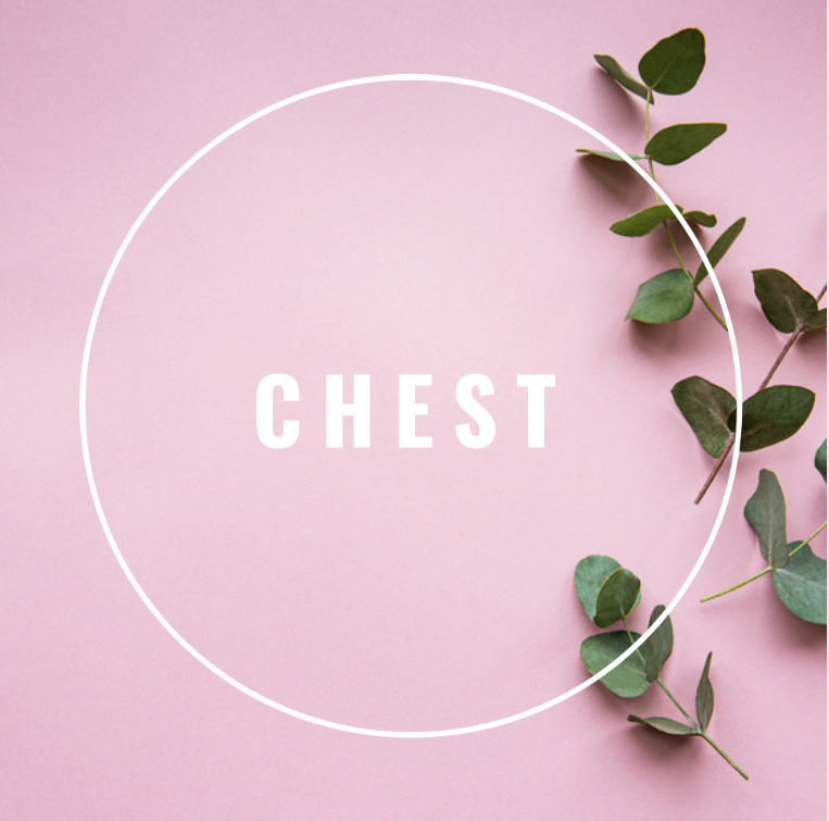 Chest