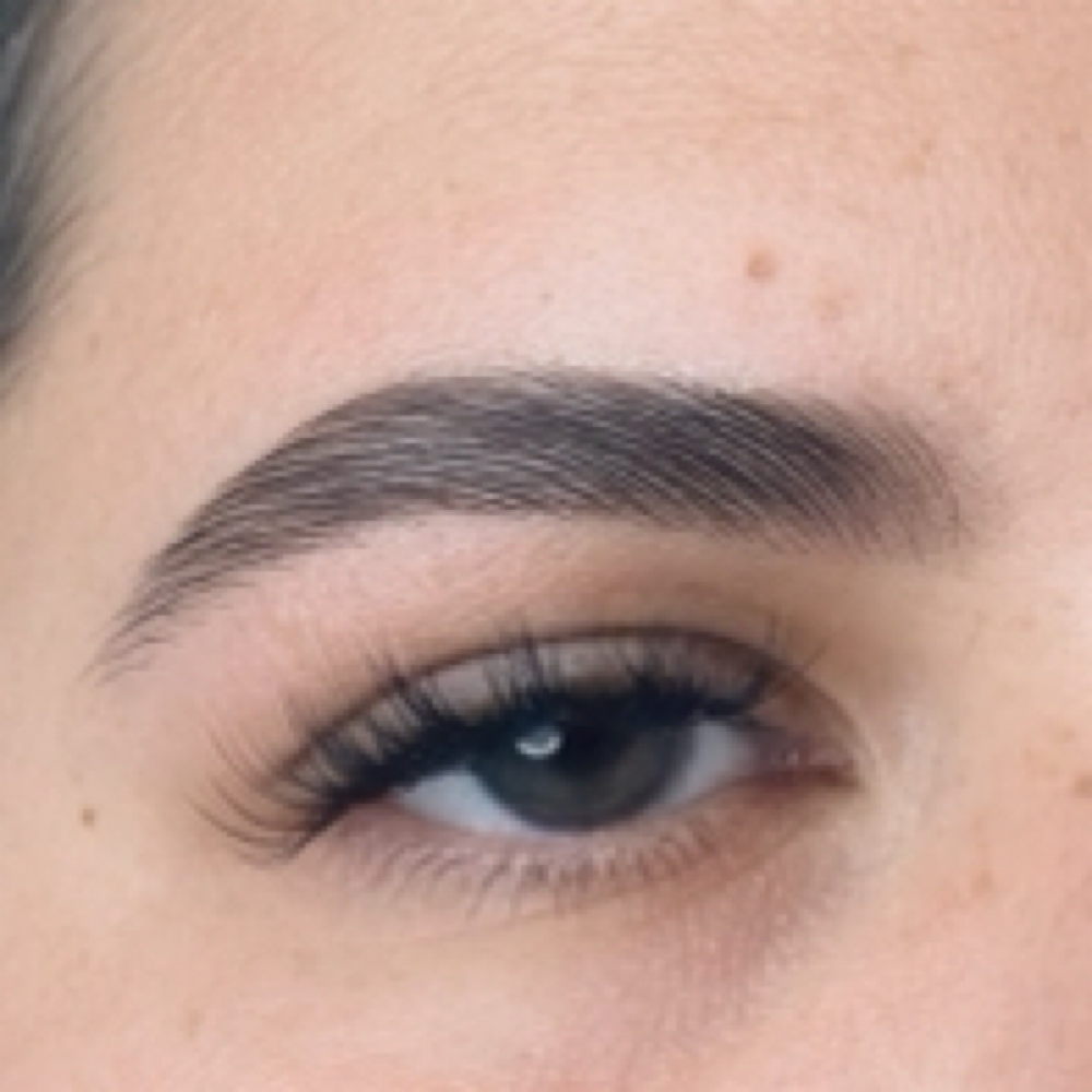 Lamination Maintenance+Brow Shaping at Wildflower Beauty Studio in East Meadow, NY