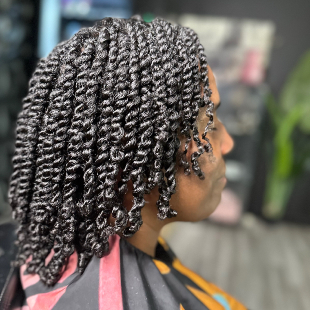 2 Strand Twist at Transforming Tresses in Milwaukee, WI