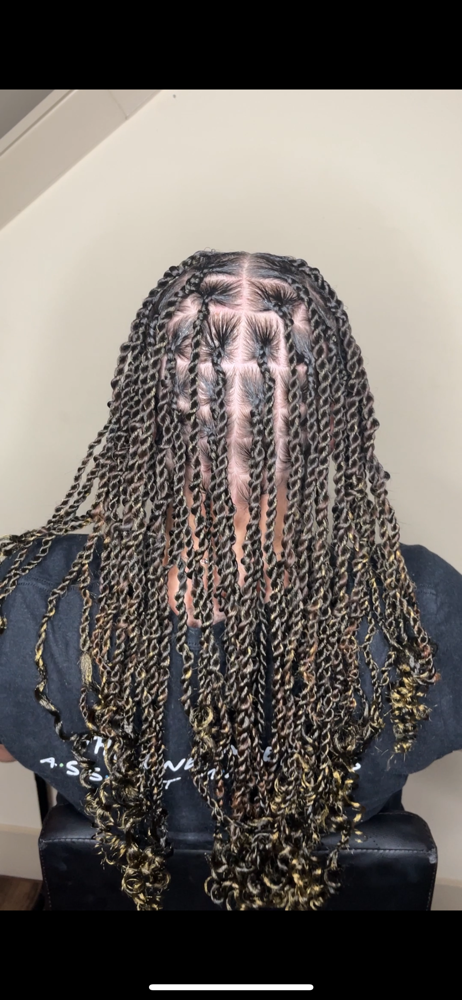 Twists (Braiding Hair Added)