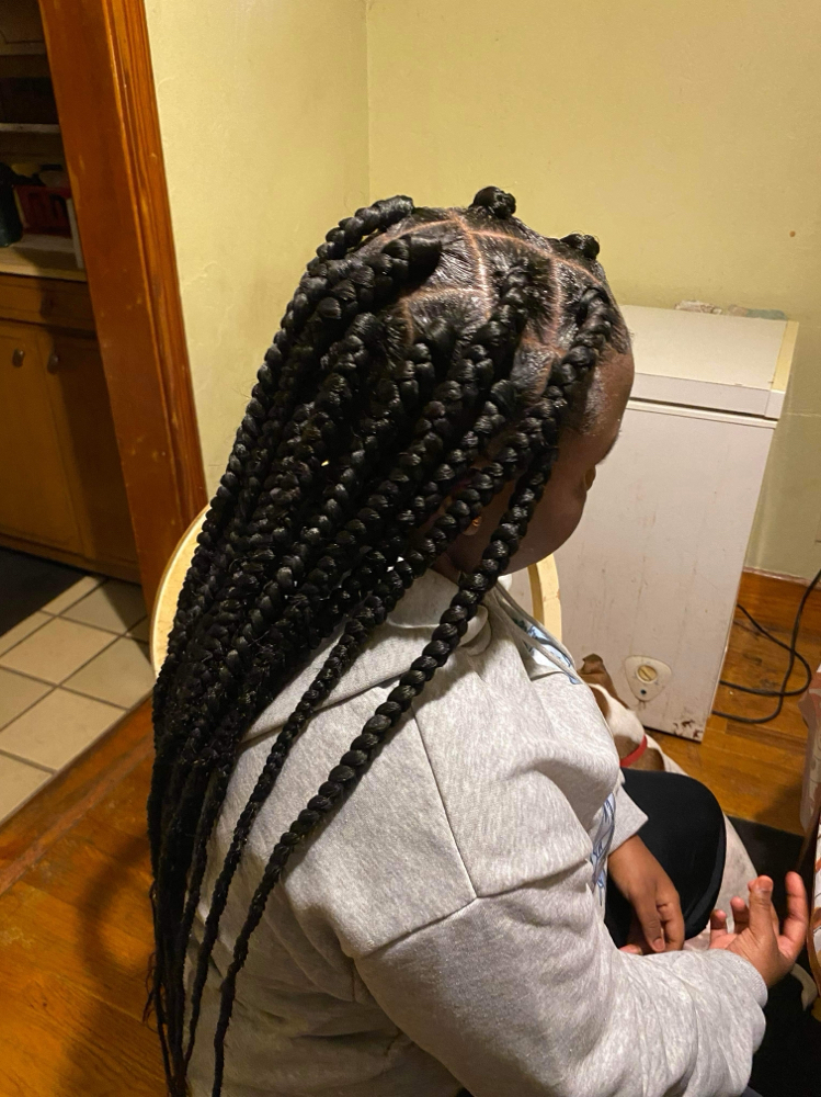 Traditional Box Braids (Lg)