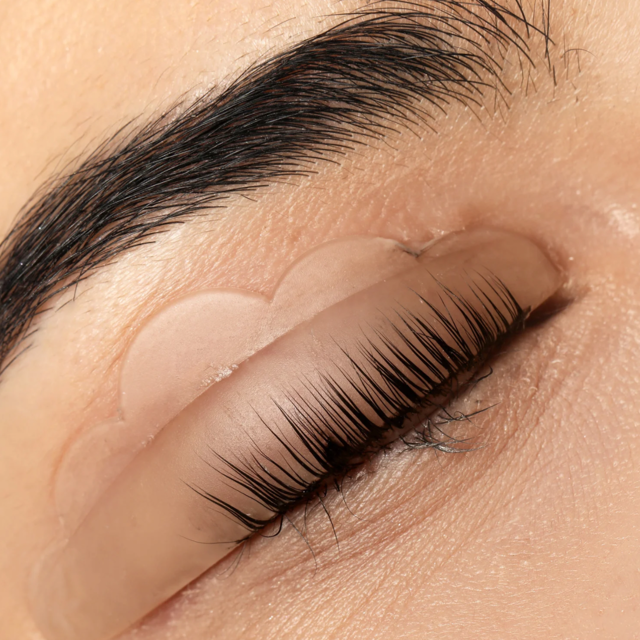 THE LYFTA LIFT (Lash Lift) at Navia Beauty Studio in Bellefonte, PA