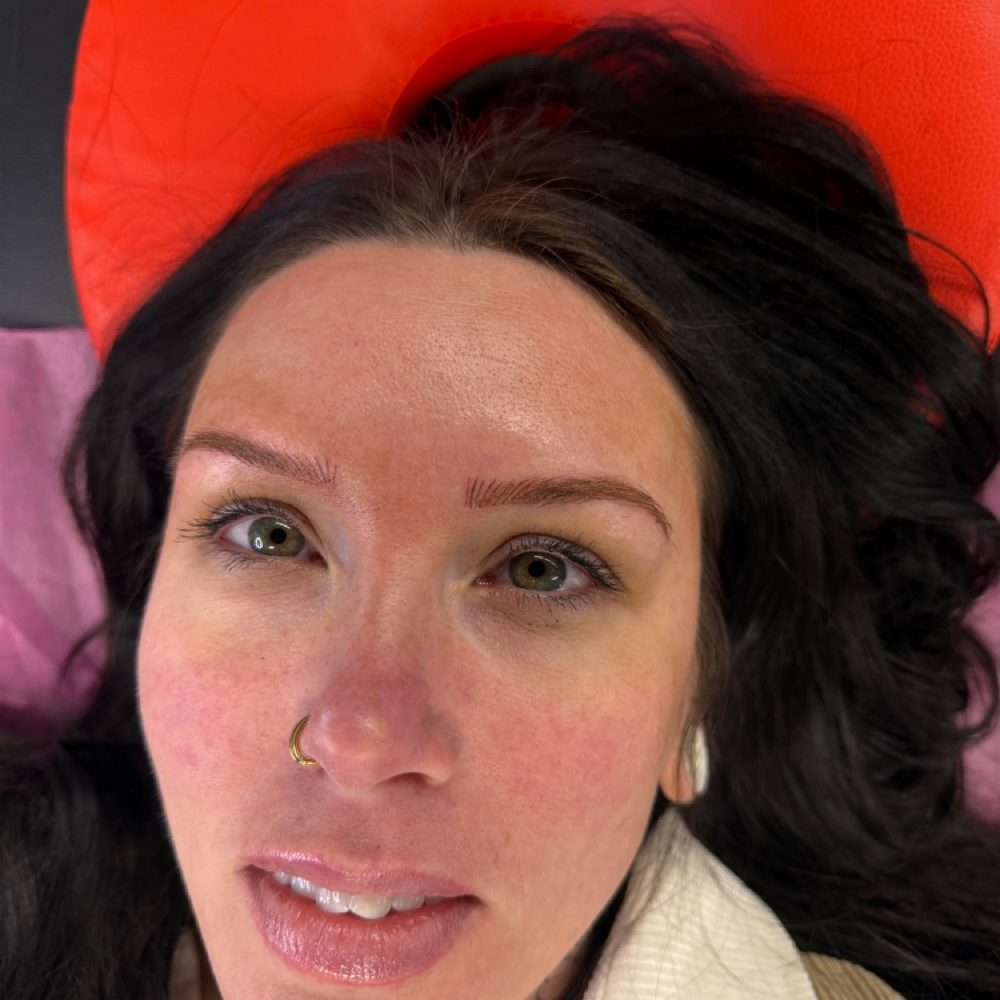 Nano Combo brows at Ink & Lashes by Shayla in Ham lake, MN