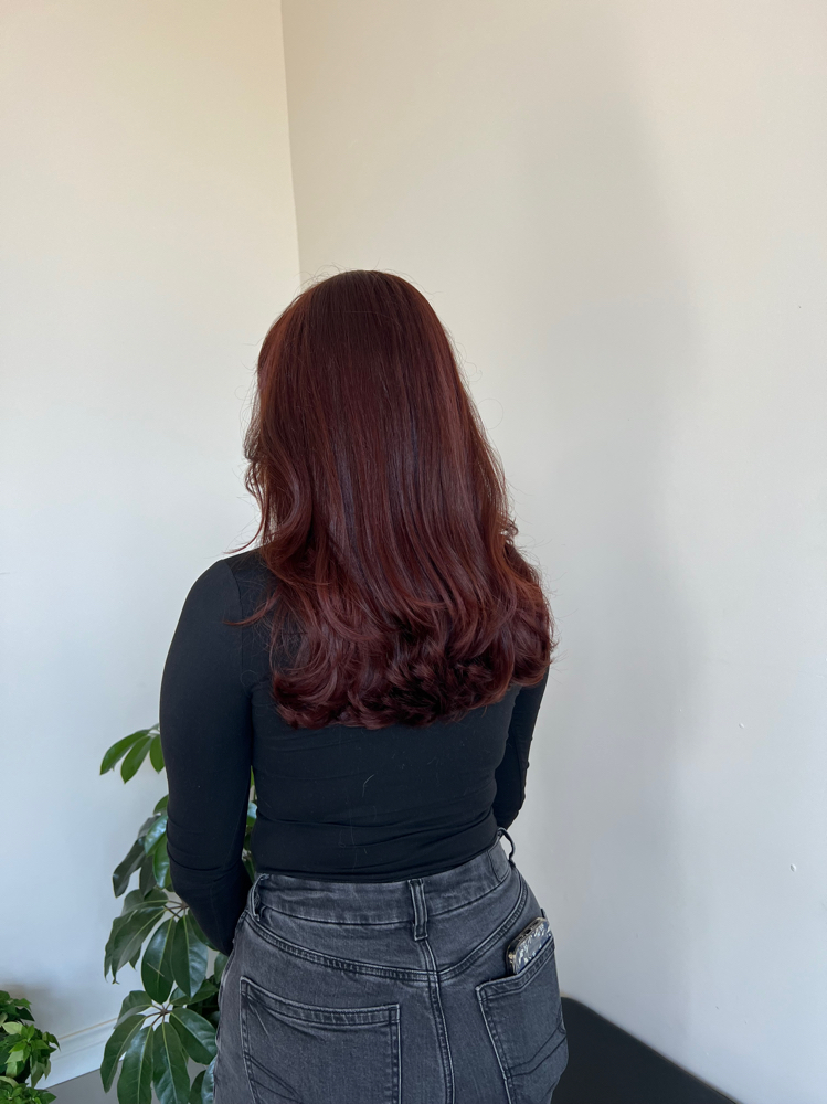 Single Color Application at Venomous Hair in Colorado Springs, CO
