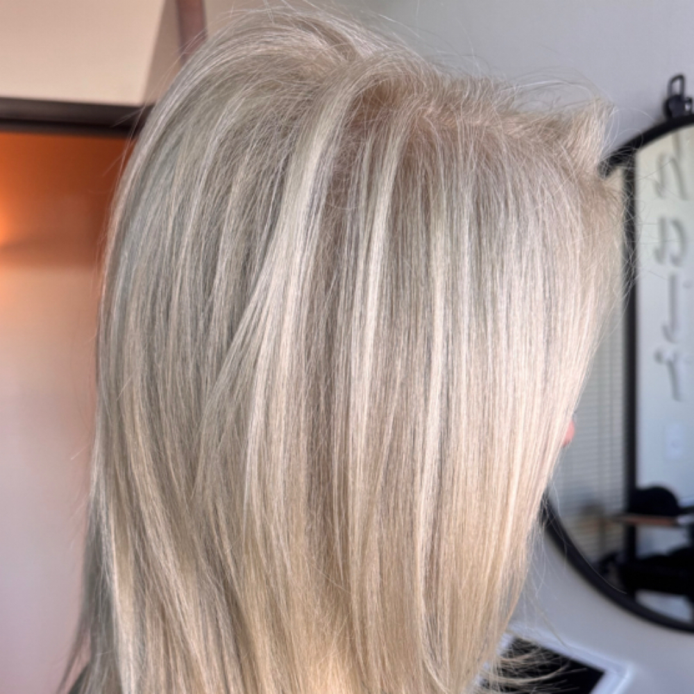 Highlights ,toner ,haircut ,style at Gosia’s Studio in Shelby Twp, MI