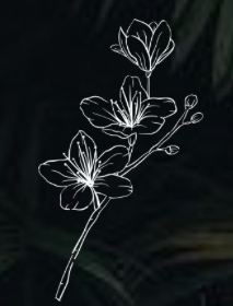 Conditioning Treatment at Abby Does My Hair in Cabin Creek, WV