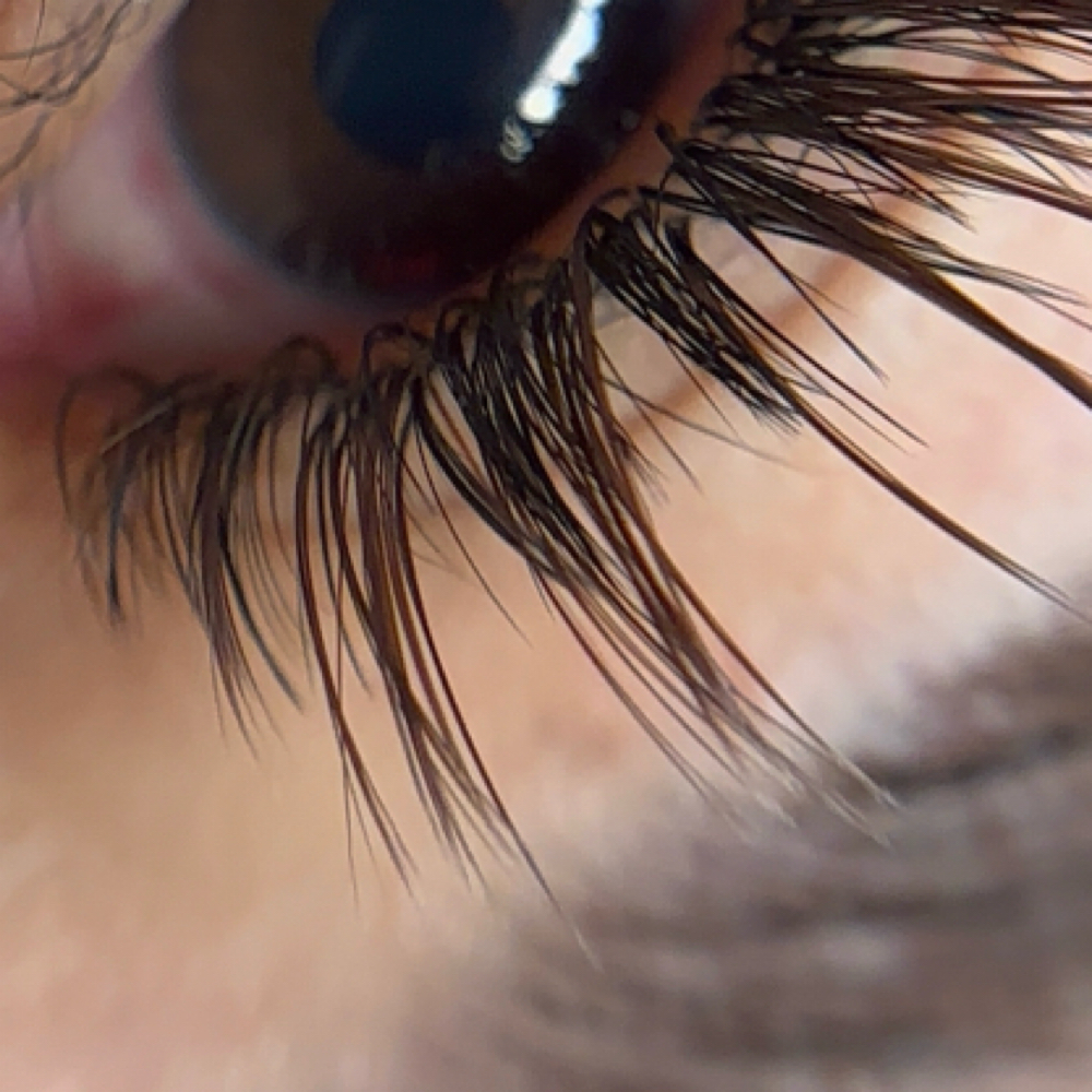 Brown Lash Set at Sweet Aesthetics by Alondra in McAllen, TX