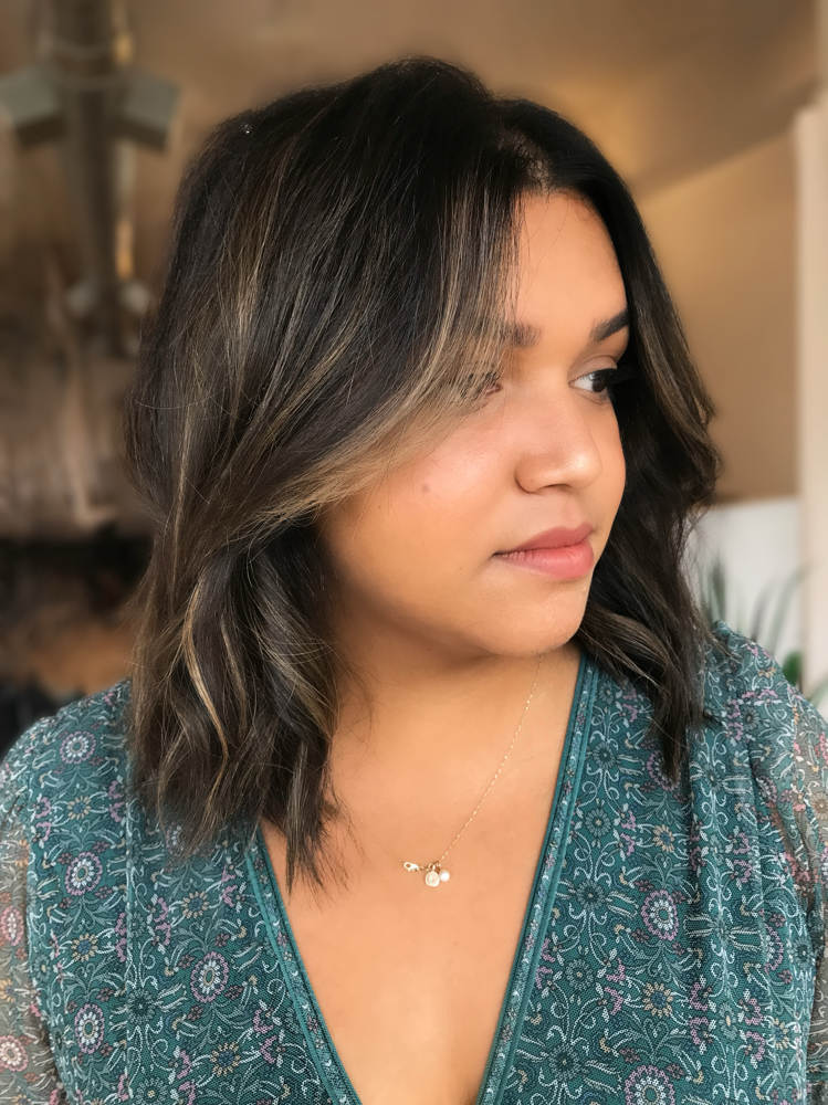 Face Frame - Balayage // HL + Cut