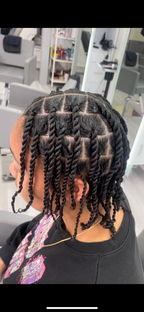 Two Strand Twist