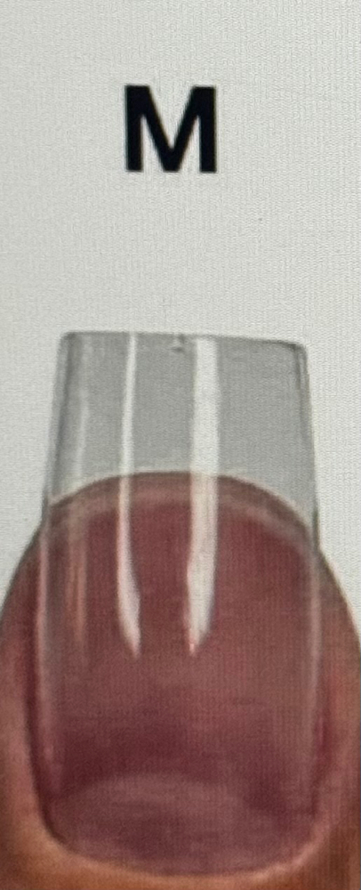 Acrylic- Medium