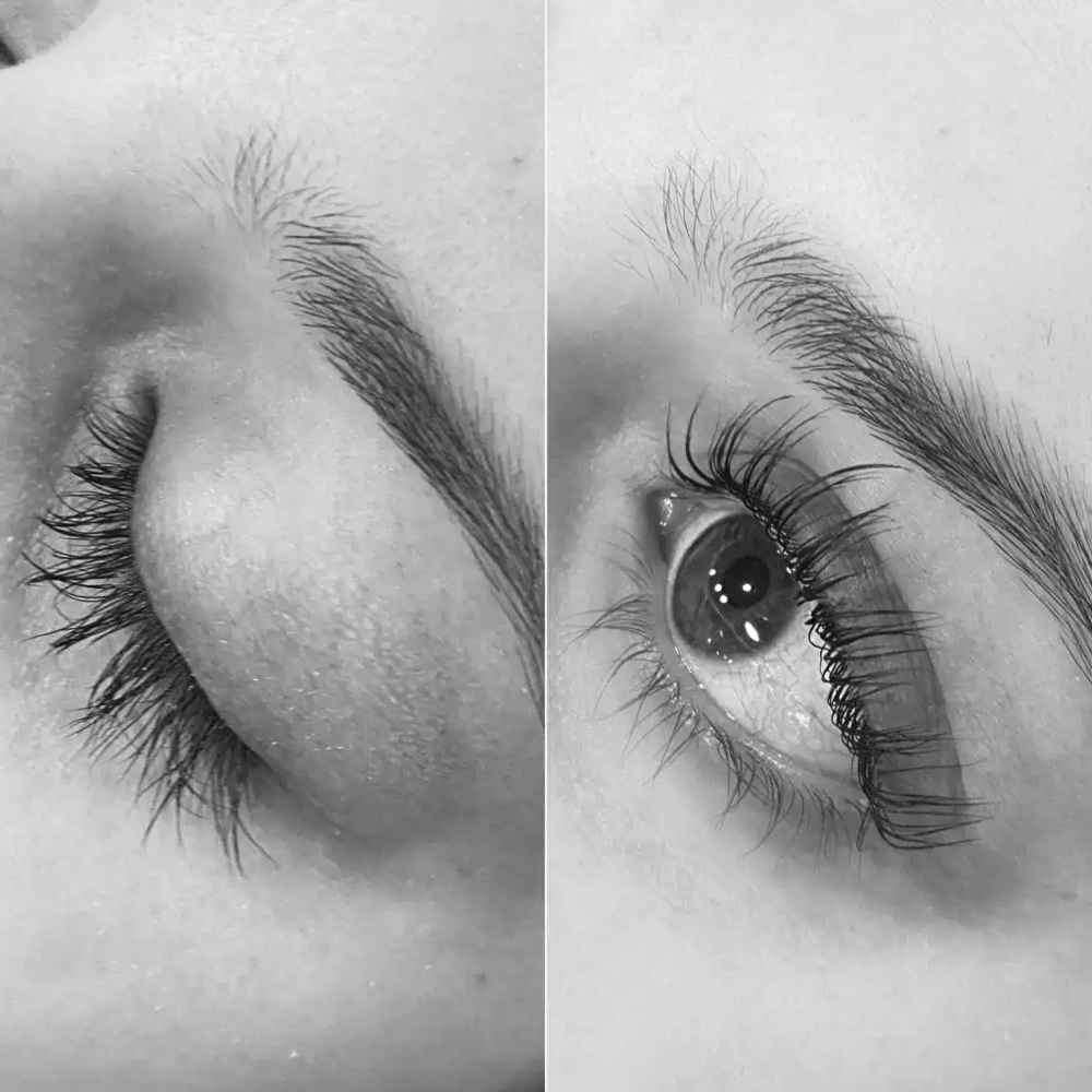 Lash Tint Only