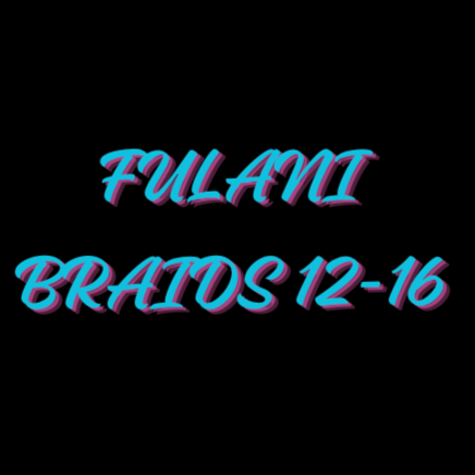 Fulani braids 12-16 at Cabellosbeautiezllc in virginia beach, VA