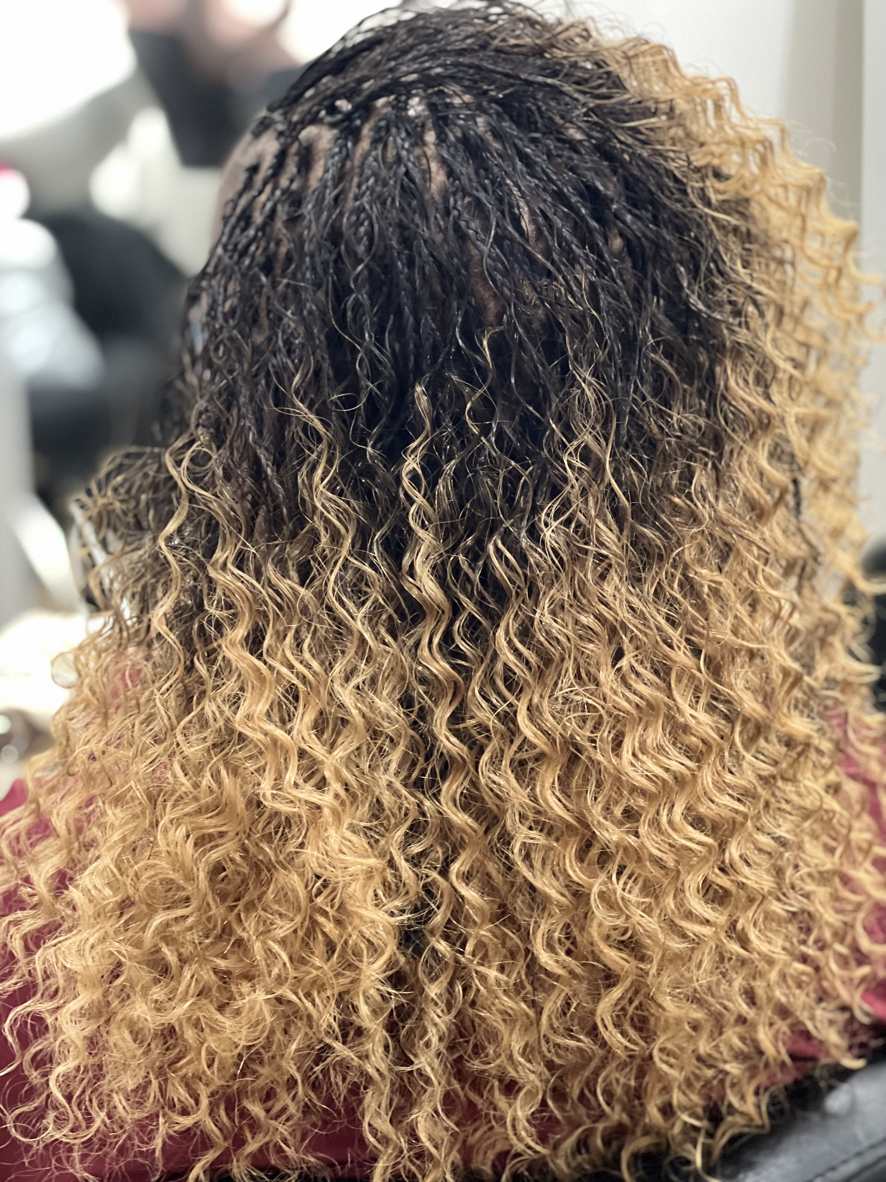 Micro Braids at Michou  HairBraiding in Anaheim, CA