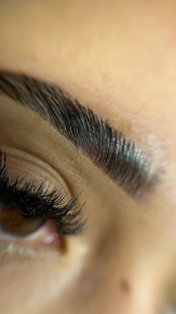 Lamination Maintenance at bm beauty. ESTHETICS in Daly City, CA