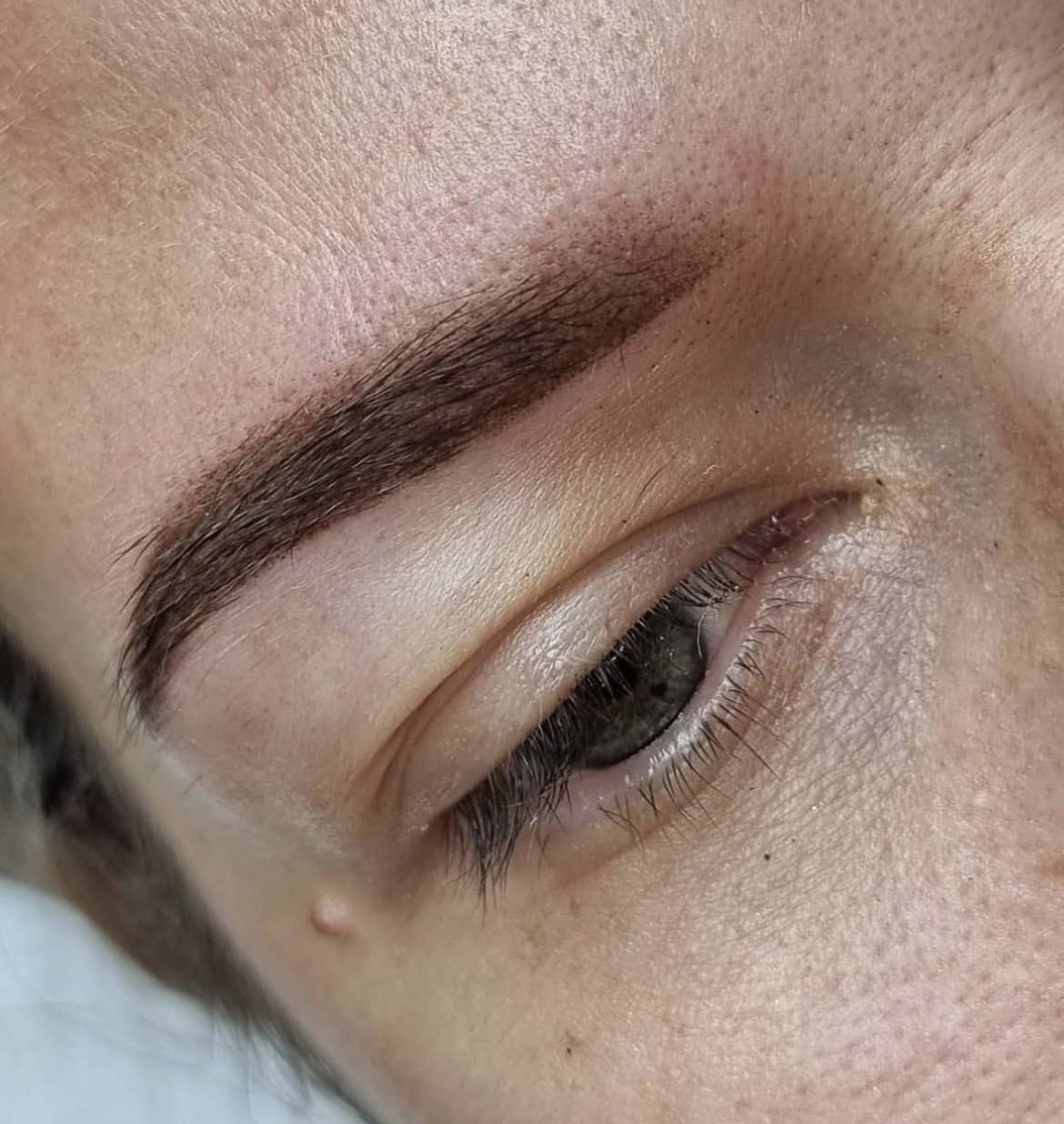 Eyebrow Perfection Visit
