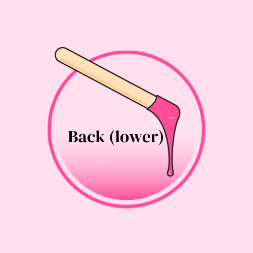 Lower Back