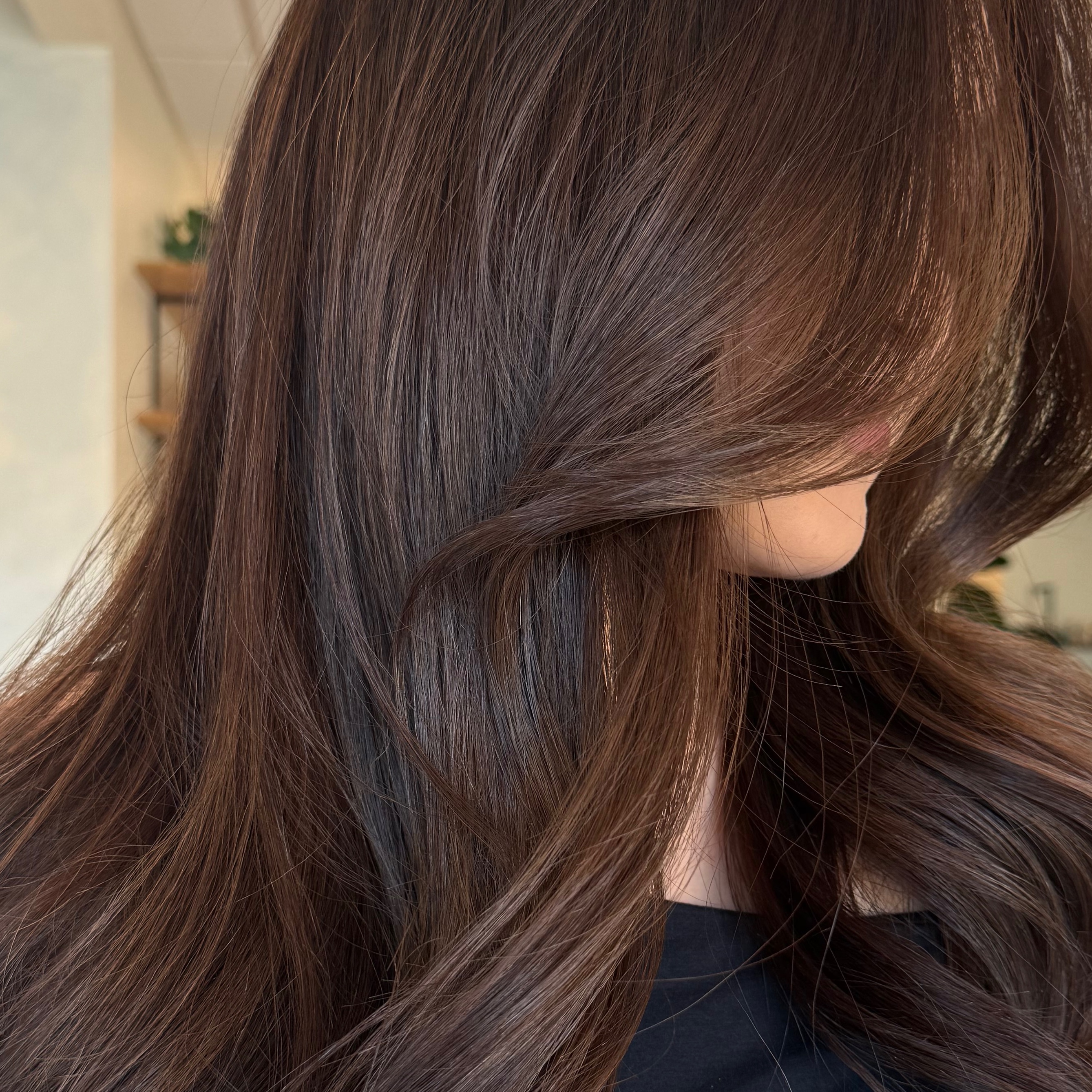 Root Retouch at Haven & Hue Hair Salon in Reno, NV