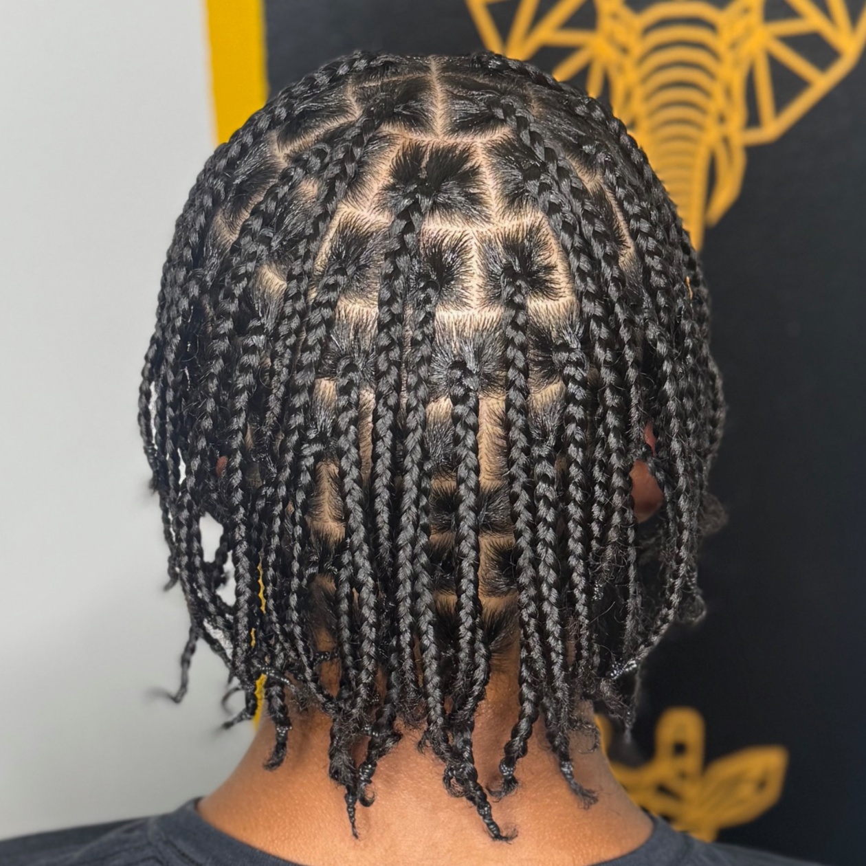 Individual Plaits (Natural Hair) at HALOD BEAUTY HOUSE in Jackson, MS