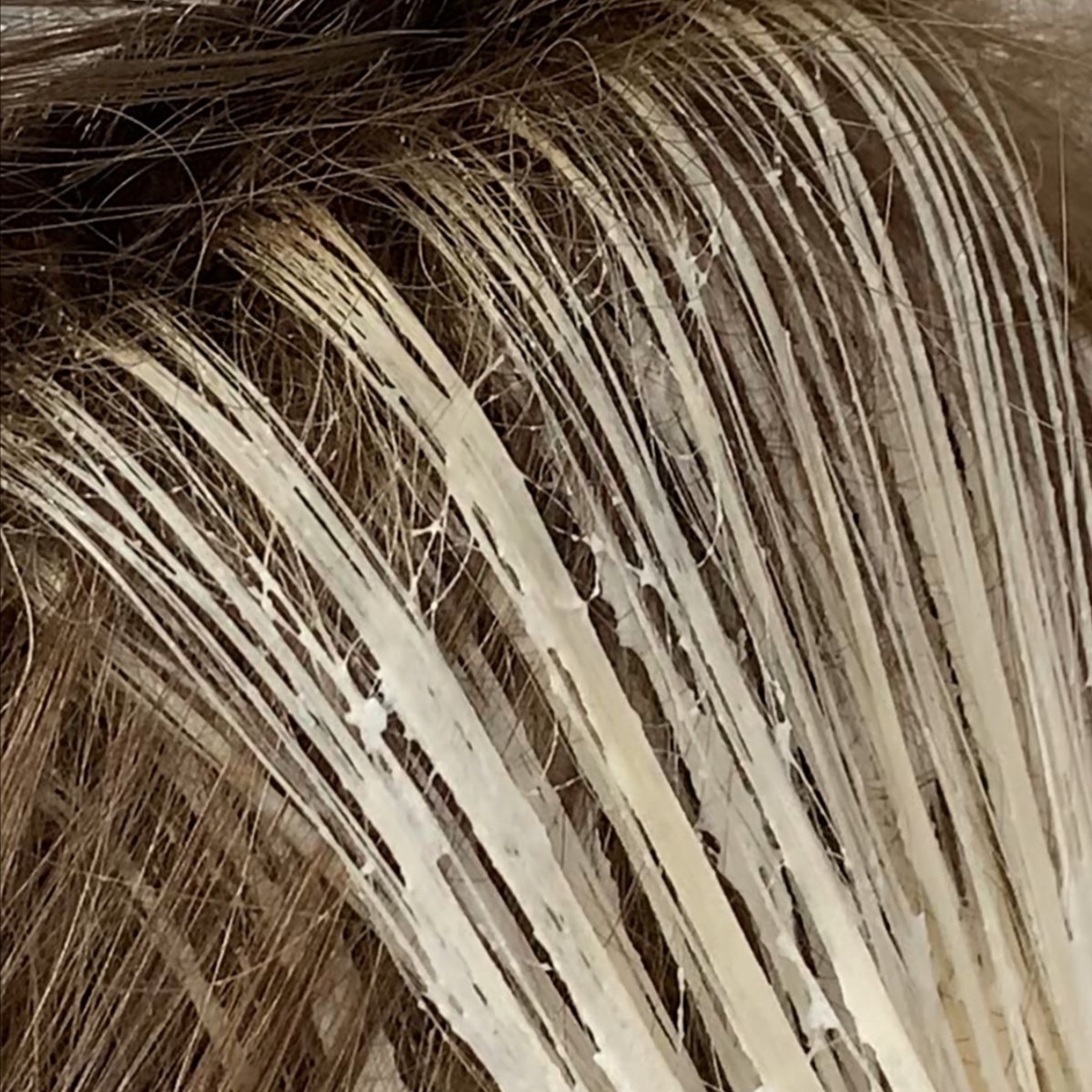 THE FULL at Book with Bria in Moline, IL