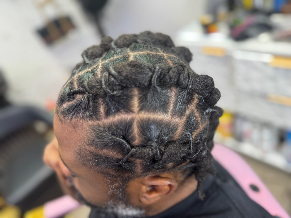 Dread Locs Barral Rolls