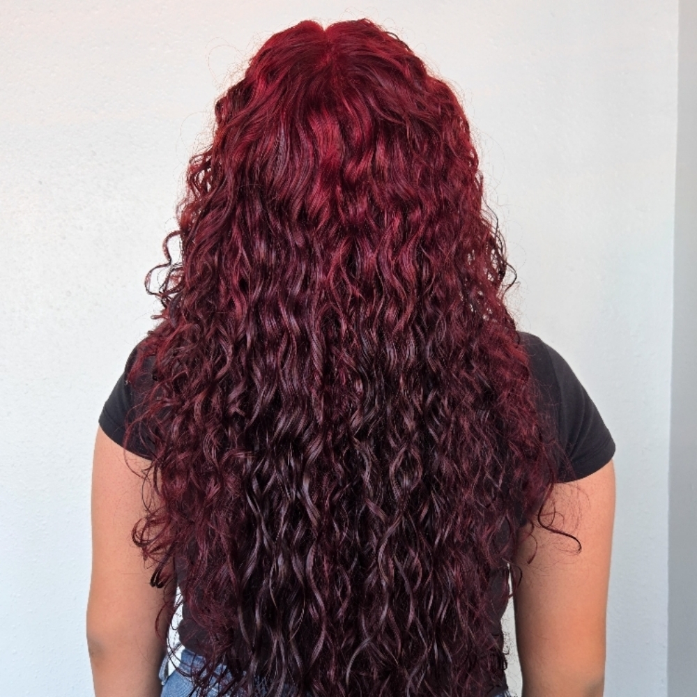 BASIC COLOR at Shea Eliz Salon in Houston, TX