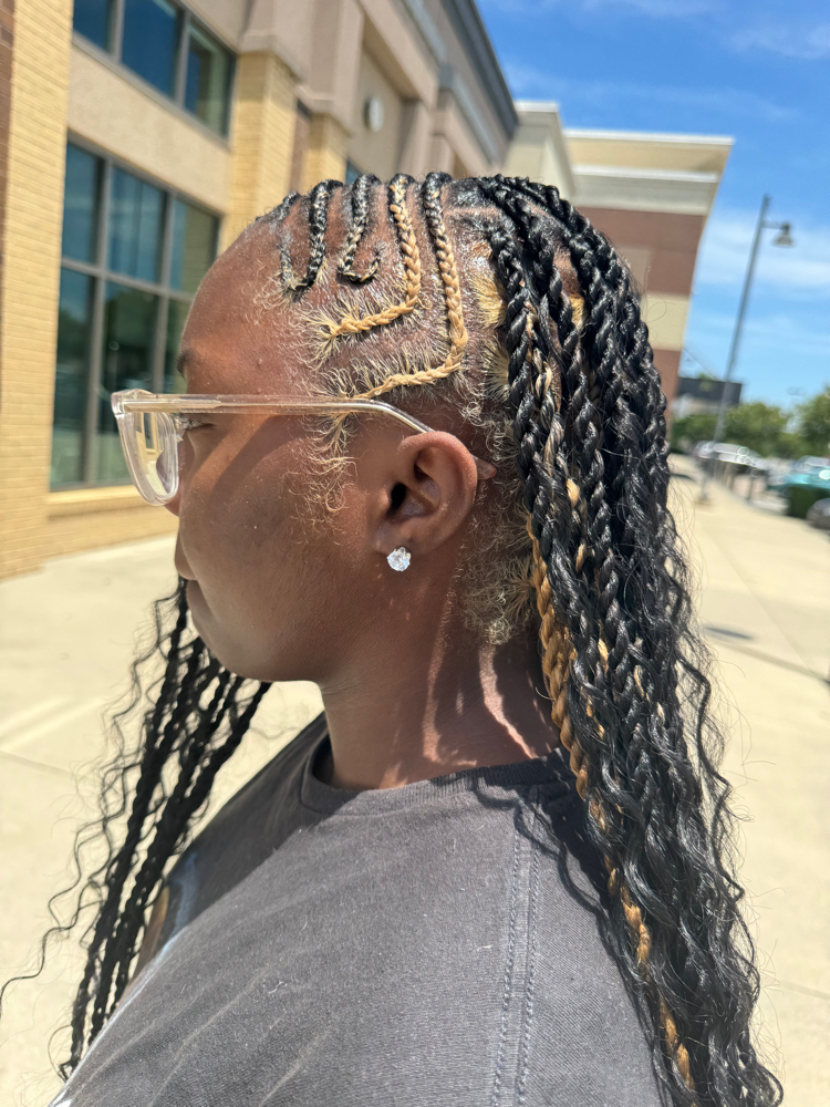 Fulani Braids ft. Island Twist