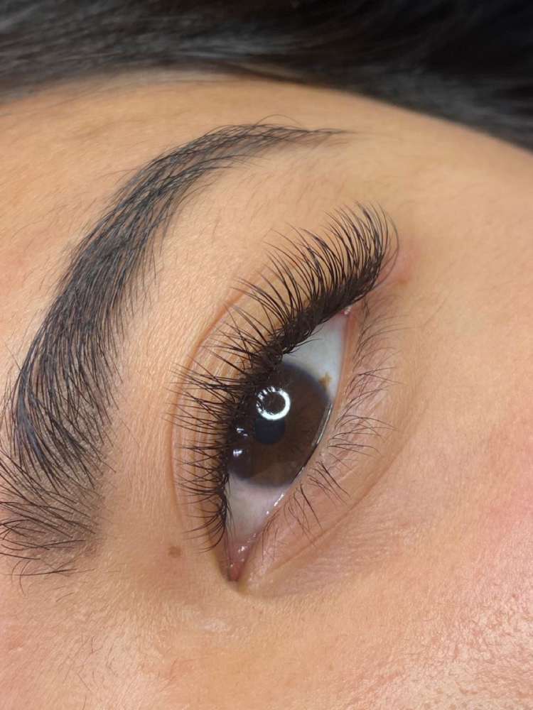 Light Volume Lash Extensions