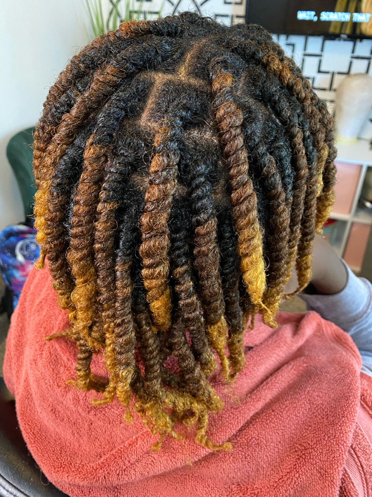 Two Strand Twist Full Head