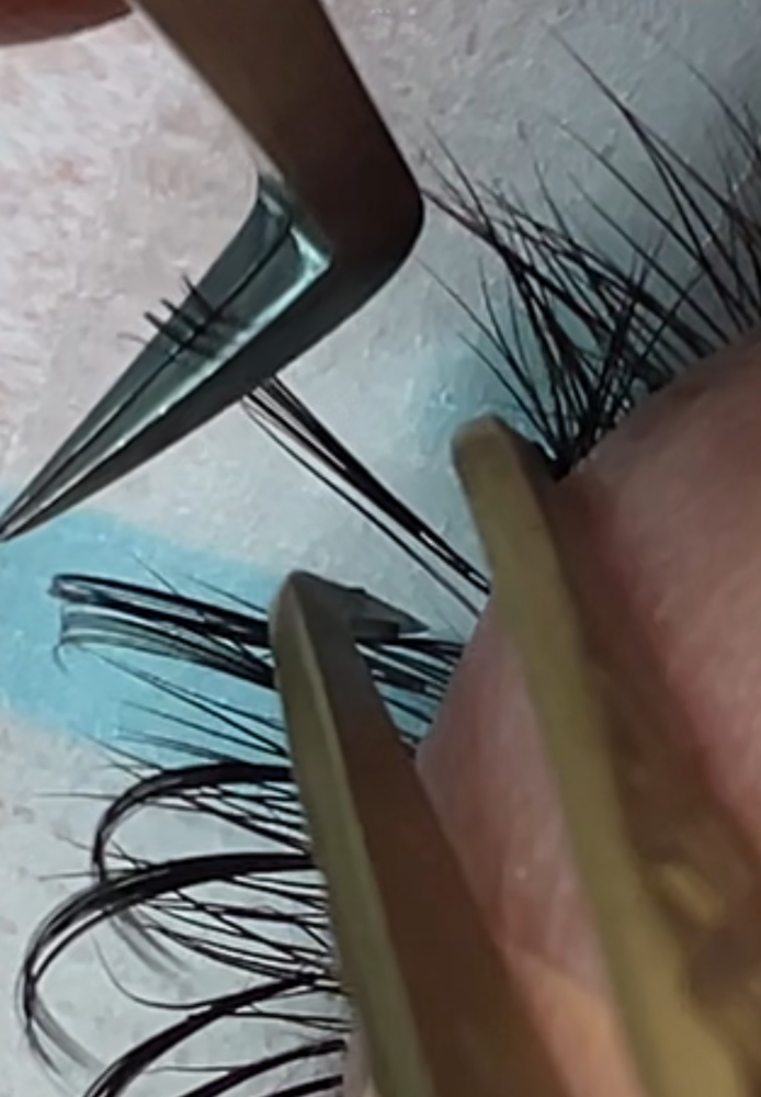 Lash Extention Fills