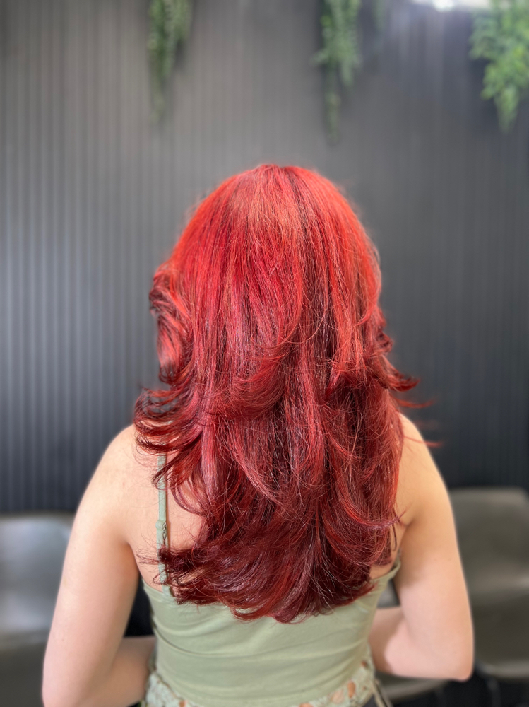 Hair Coloring And Styling Package