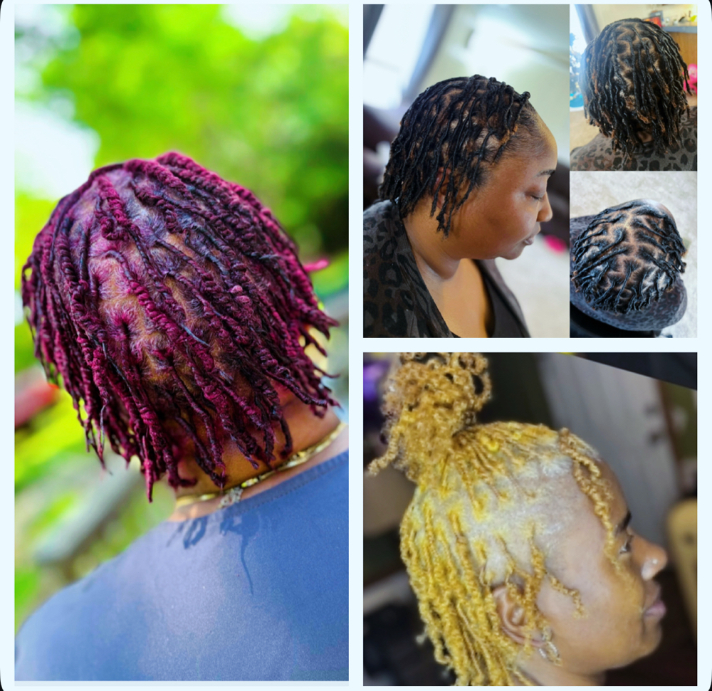 Consultation/Starter Locs at Ms.BBTB in Bolivia, NC