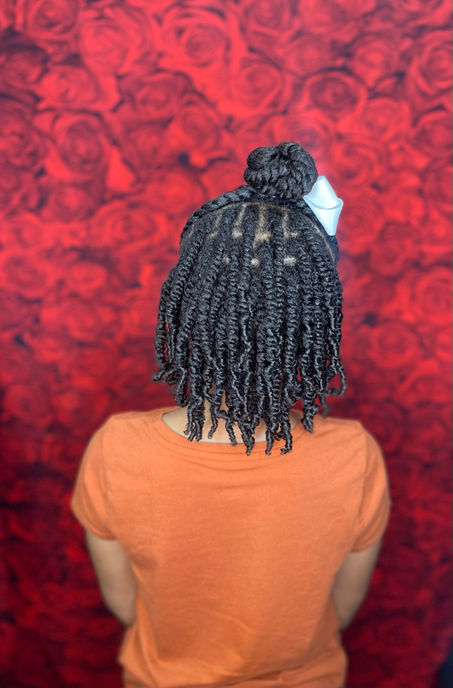 Two-strand Twists + Shampoo
