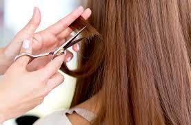 Dry cut