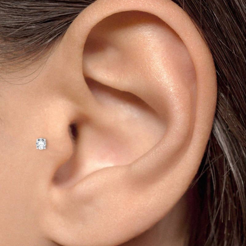 Tragus