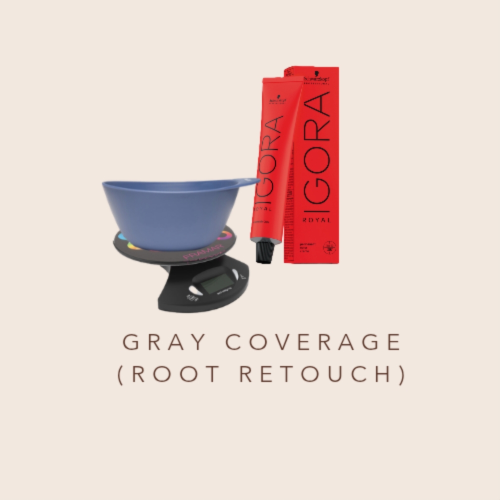 Gray Coverage (Root Retouch) at Sarita Anzalone in Lee, MA