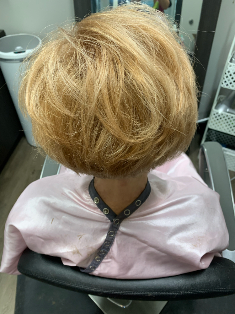 Balayage Short Hair W/Cut/Sty