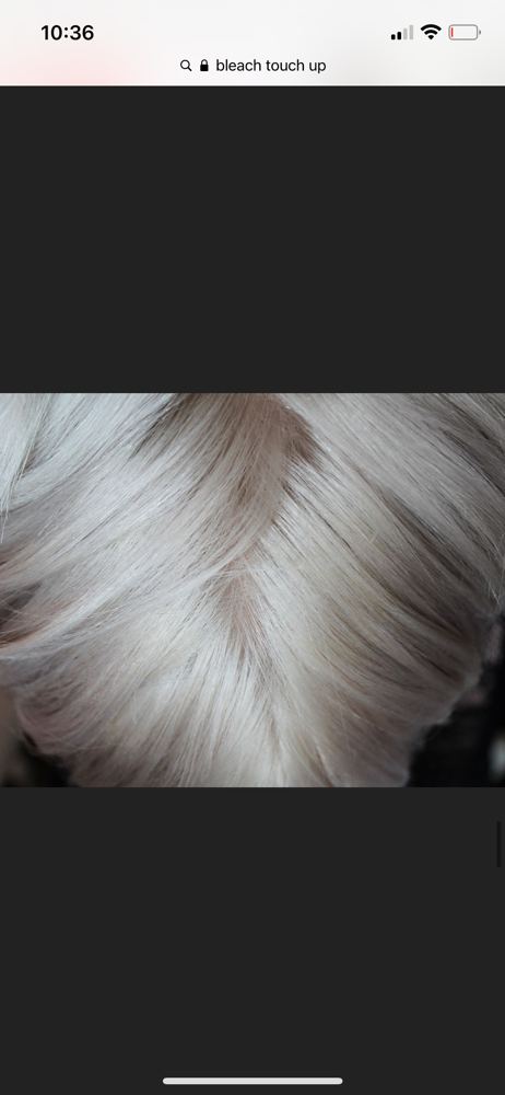 Bleach touch up